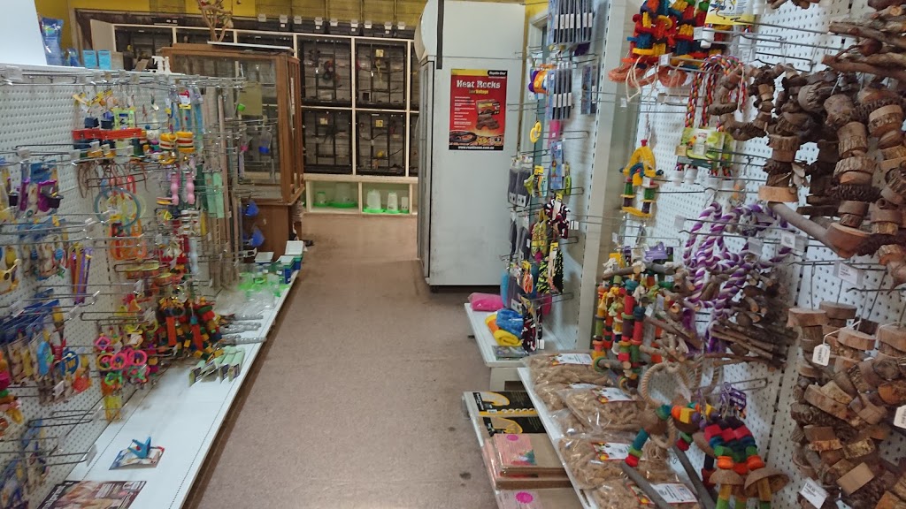 Brisbane Pet Super Store | pet store | 266 Stafford Rd, Stafford QLD 4053, Australia | 0733524000 OR +61 7 3352 4000