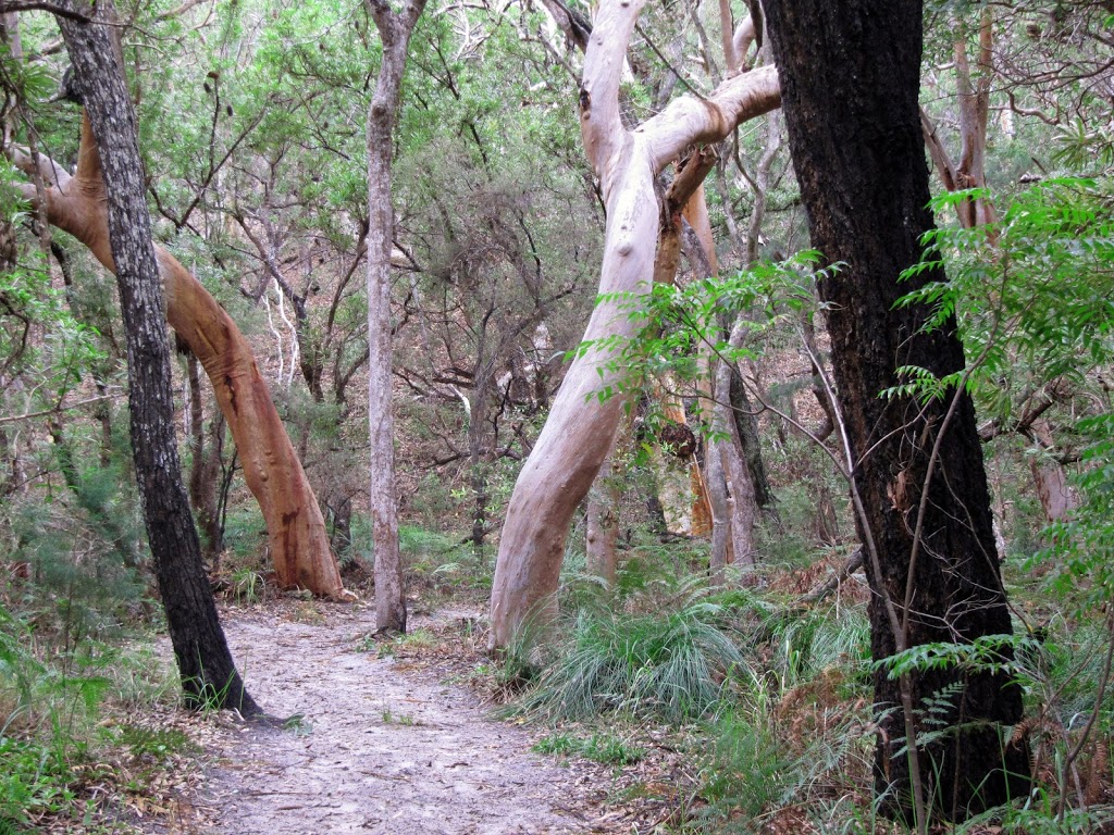Sandy Cape Conservation Park | park | Fraser Island QLD 4581, Australia