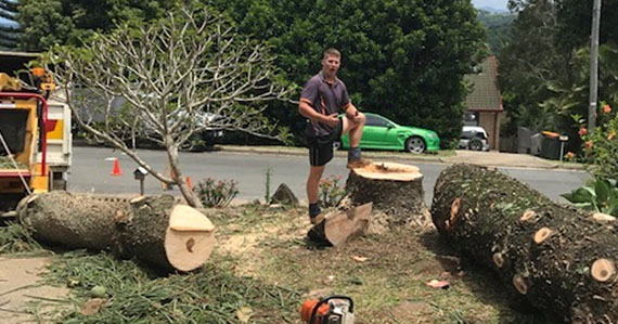 All Tree and Stump Works | 19 Bopple Nut Ct, Cobaki NSW 2486, Australia | Phone: 0402 697 647