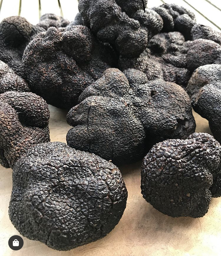 Main Ridge Truffles | 75 Harrisons Rd, Dromana VIC 3936, Australia | Phone: 0408 055 250