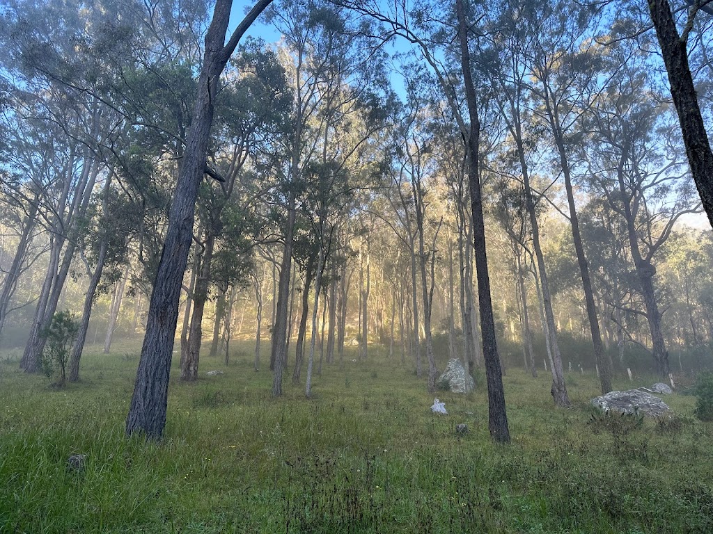Bori Empty Mind Meditation 보리사 菩提心空禪院 | 387 Murrays Run Rd, Laguna NSW 2325, Australia | Phone: 0403 590 308