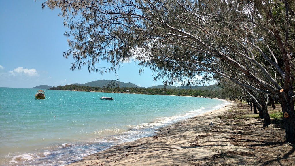 Dingo Beach Foreshore Reserve | Queensland, Australia