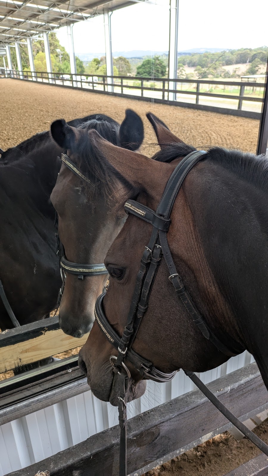 Briara Park Equestrian Centre | 235 Old Moorooduc Rd, Tuerong VIC 3915, Australia | Phone: 0493 966 522