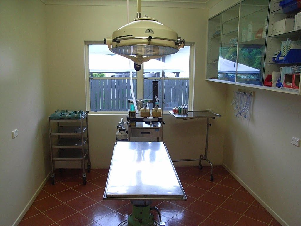 Casino Veterinary Clinic | 88 North St, Casino NSW 2470, Australia | Phone: (02) 6662 2488