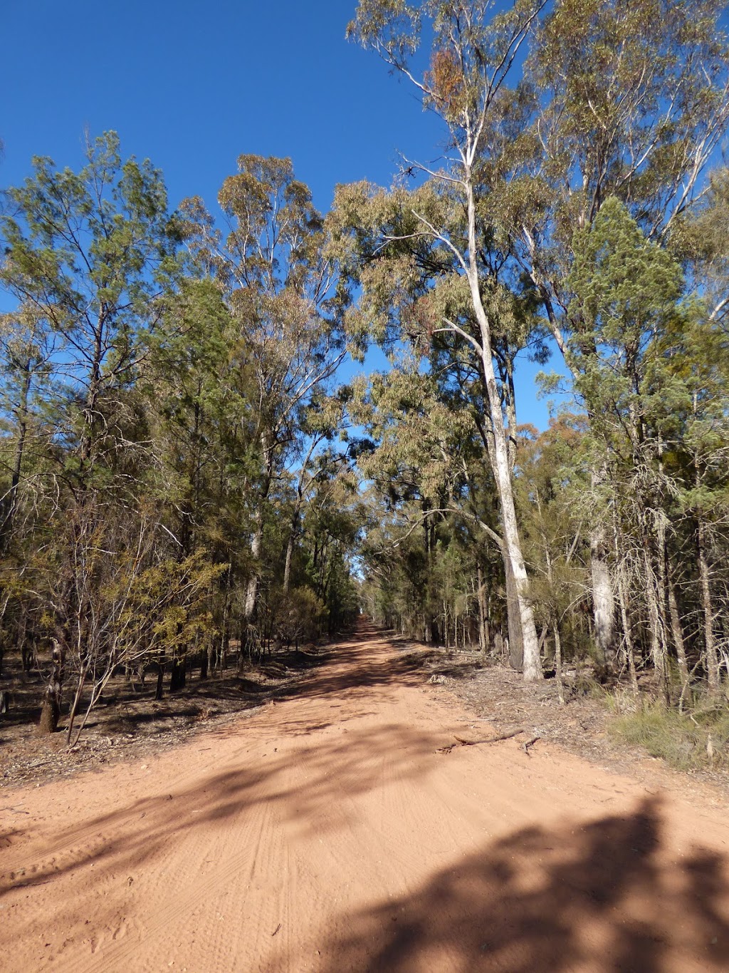 Beni Cca Zone 3 State Conservation Area | Dubbo NSW 2830, Australia