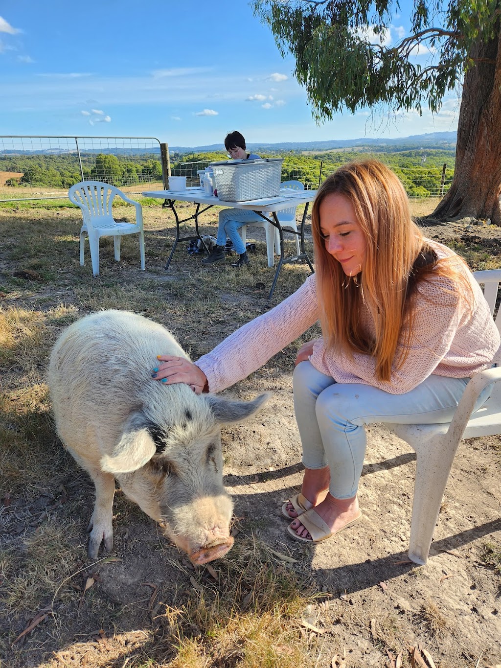 Woori Yallock Therapy Farm | 205 Owens Rd, Woori Yallock VIC 3139, Australia | Phone: 0411 271 418