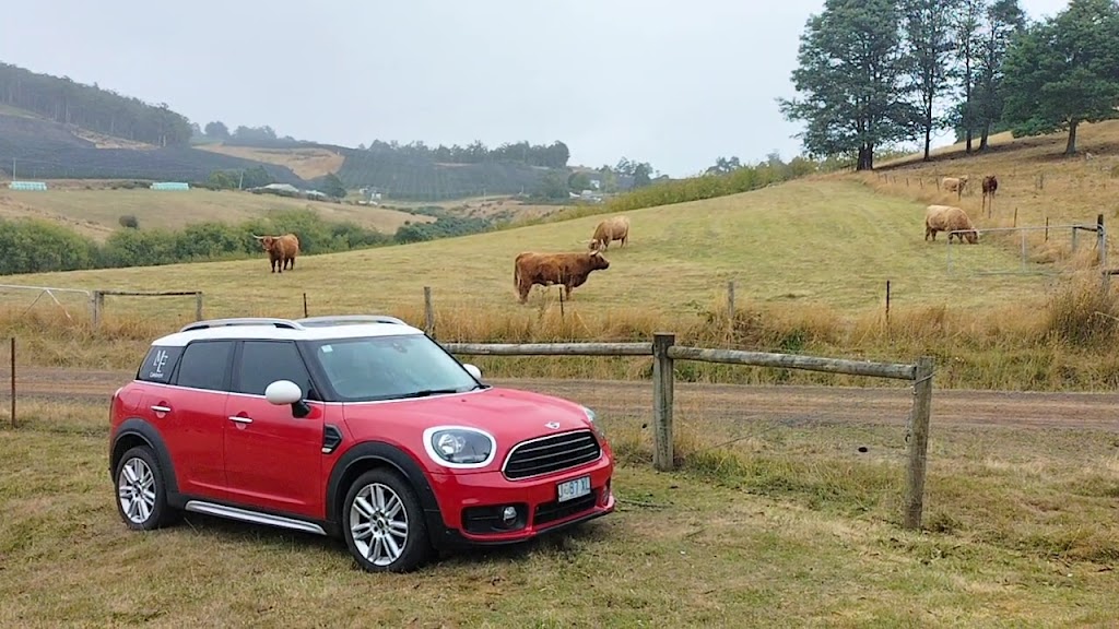 Mary Figg Marriage Celebrant | S Arm Rd, Lauderdale TAS 7021, Australia | Phone: 0438 659 005