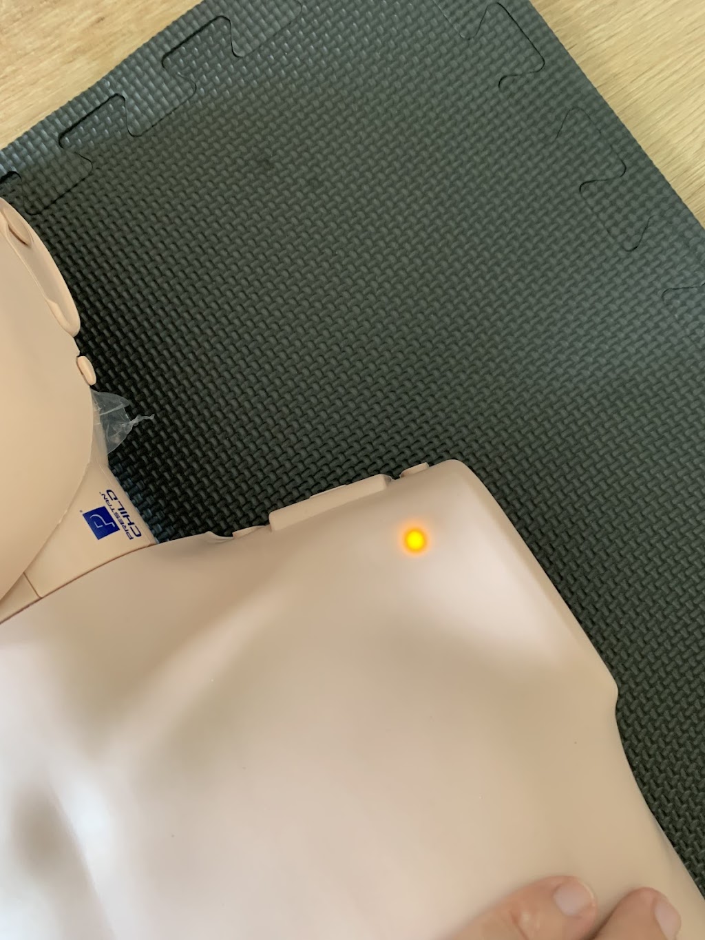 SALT Training Academy | 36 Commander St, Thrumster NSW 2444, Australia | Phone: 0416 232 361
