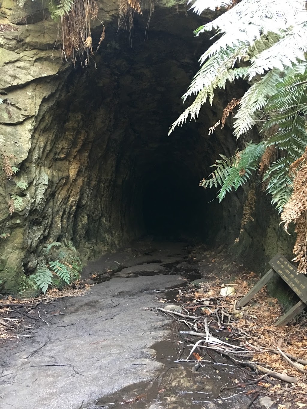 Start Trail to the Glow-worm Tunnel | park | Old Coach Rd, Wolgan Valley NSW 2790, Australia