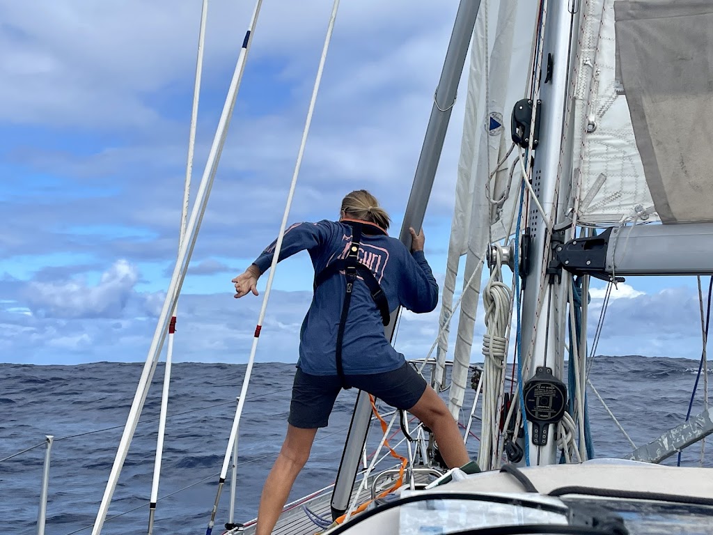 Panache Sailing | 1 Marina Dr, Coffs Harbour NSW 2450, Australia | Phone: 0450 144 210