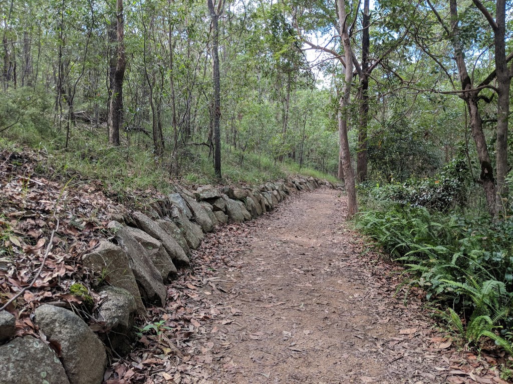 Gold Mine Picnic Area | park | Sir Samuel Griffith Dr, Mt Coot-Tha QLD 4066, Australia | 0734038888 OR +61 7 3403 8888