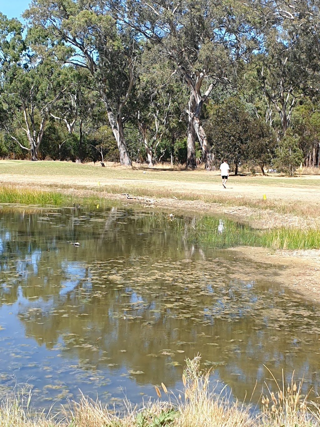 Mount Pleasant & District Golf Club | 45 Golf Course Road, Mount Pleasant-Keyneton Road, Mount Pleasant SA 5235, Australia | Phone: (08) 8568 2652