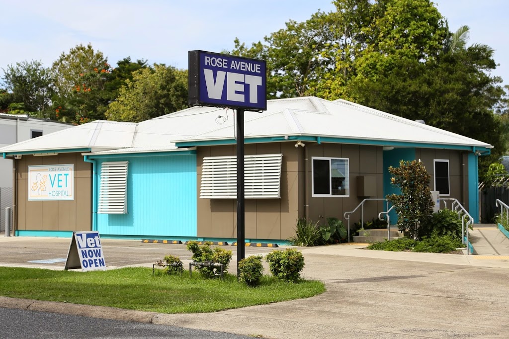 Rose Avenue Veterinary Hospital | 173 Rose Ave, Coffs Harbour NSW 2450, Australia | Phone: (02) 6652 1566
