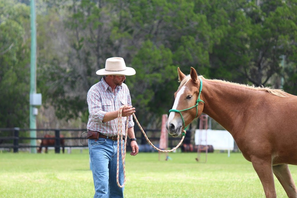 Equine Ability | 1671 Lower Piambong Rd, Piambong NSW 2850, Australia | Phone: 0417 200 411