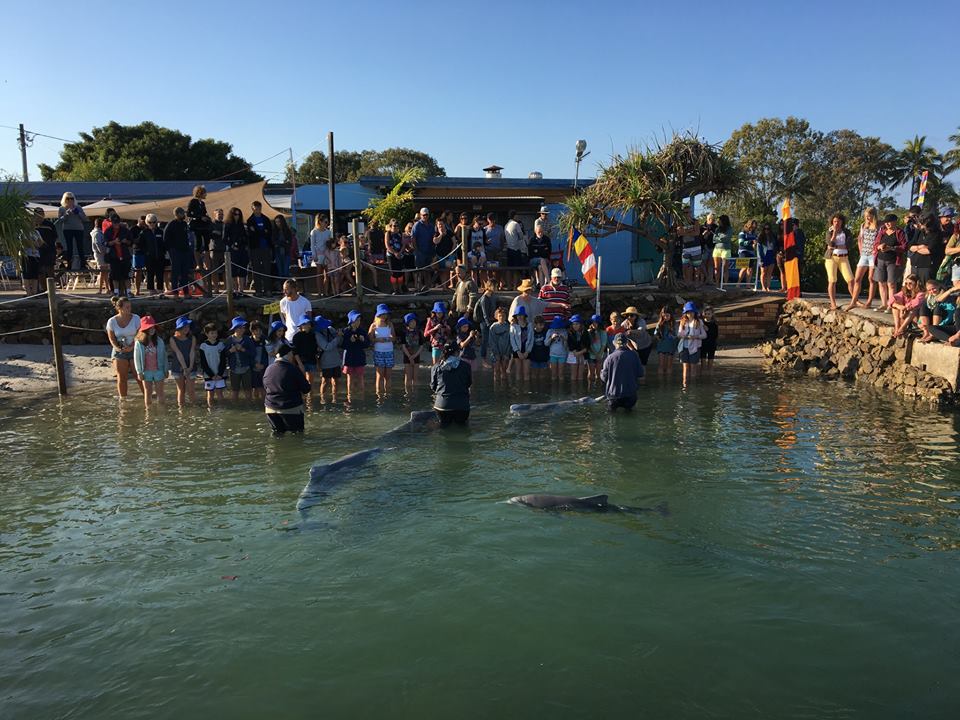 Luxury Afloat House Boat Hire - Lifestyle Holidays |  | Norman Point, Next to Barnacles Cafe & Dolphin Feeding, Tin Can Bay QLD 4580, Australia | 0754864864 OR +61 7 5486 4864