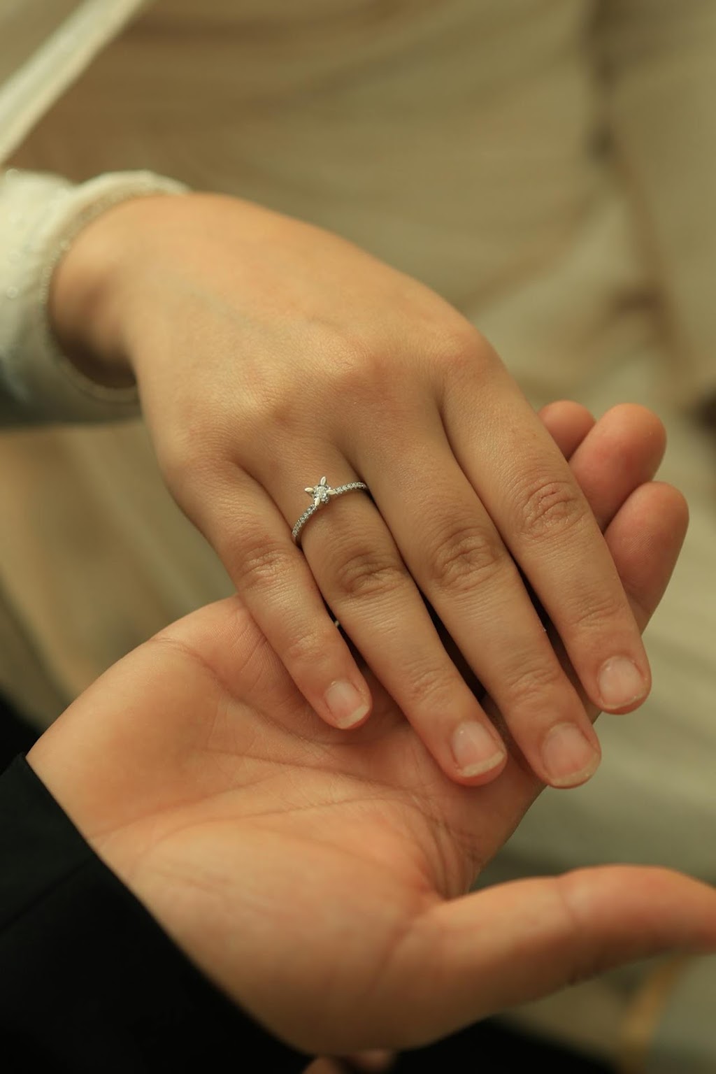 Always & Forever Civil Celebrant | 1a Merindah Ave, Green Point NSW 2251, Australia | Phone: 0402 313 531