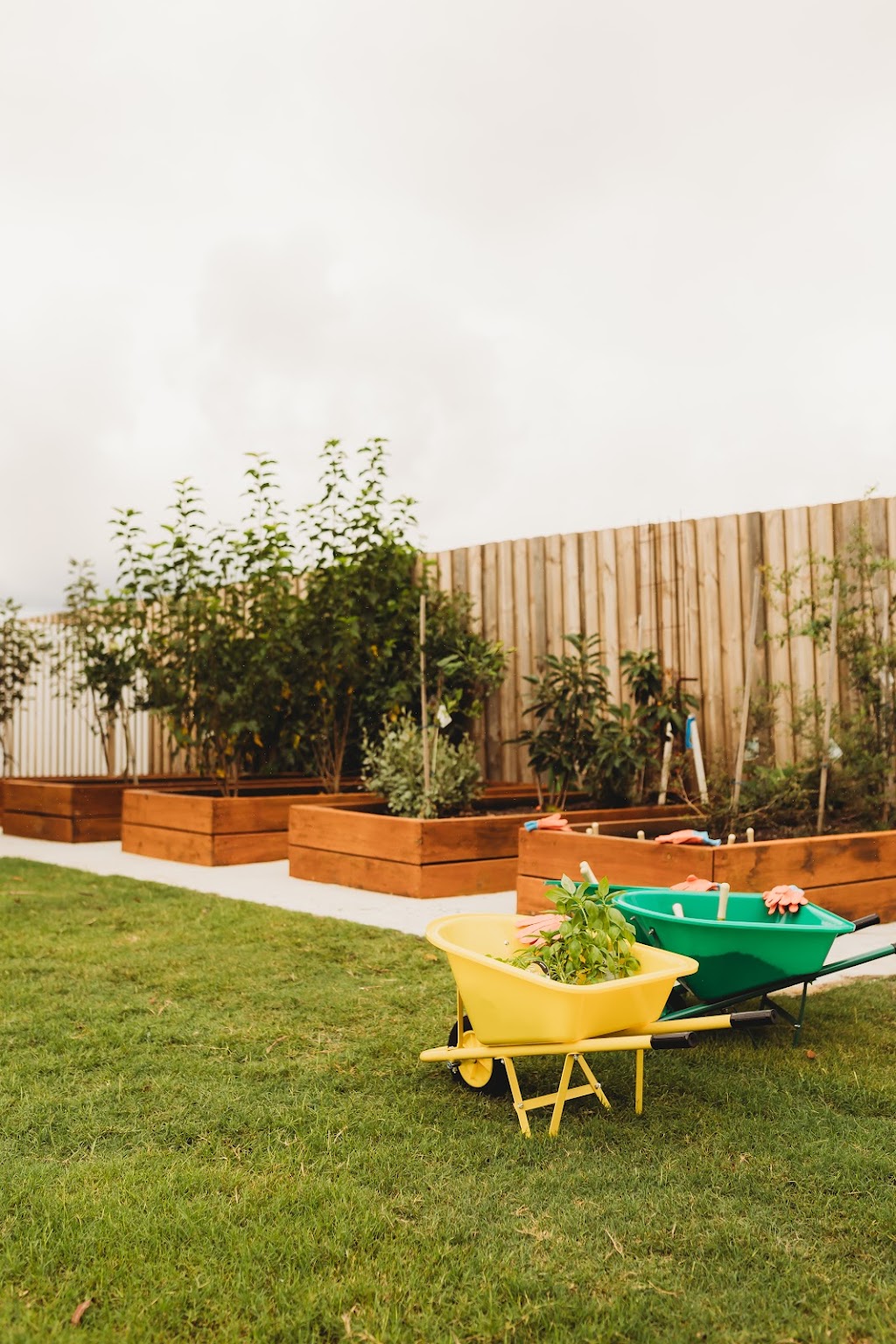 Capers Early Learning Pumicestone | 460 Pumicestone Rd, Elimbah QLD 4516, Australia | Phone: (07) 5499 2679