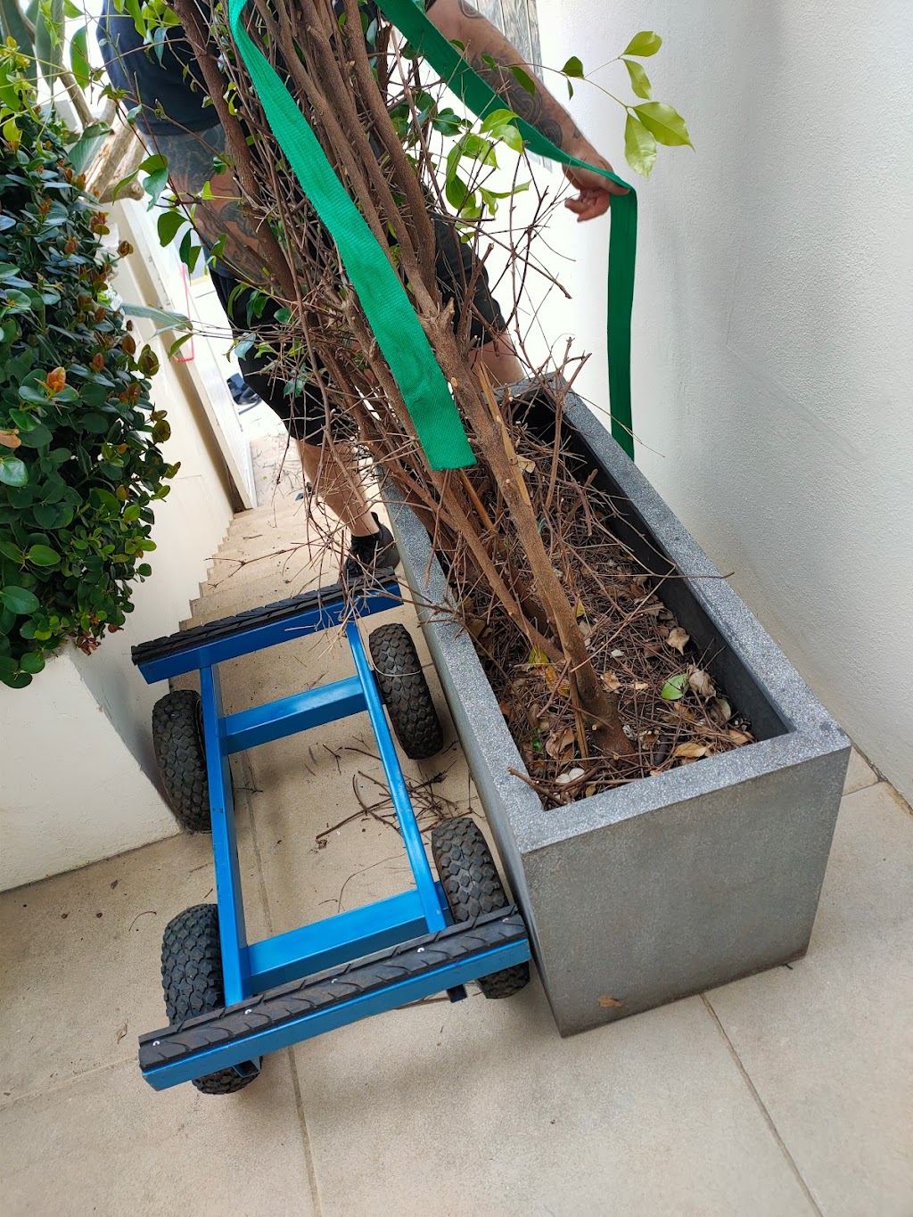 Careful Movers | Unit 4/12 Milner Cres, Wollstonecraft NSW 2065, Australia | Phone: 1300 854 135