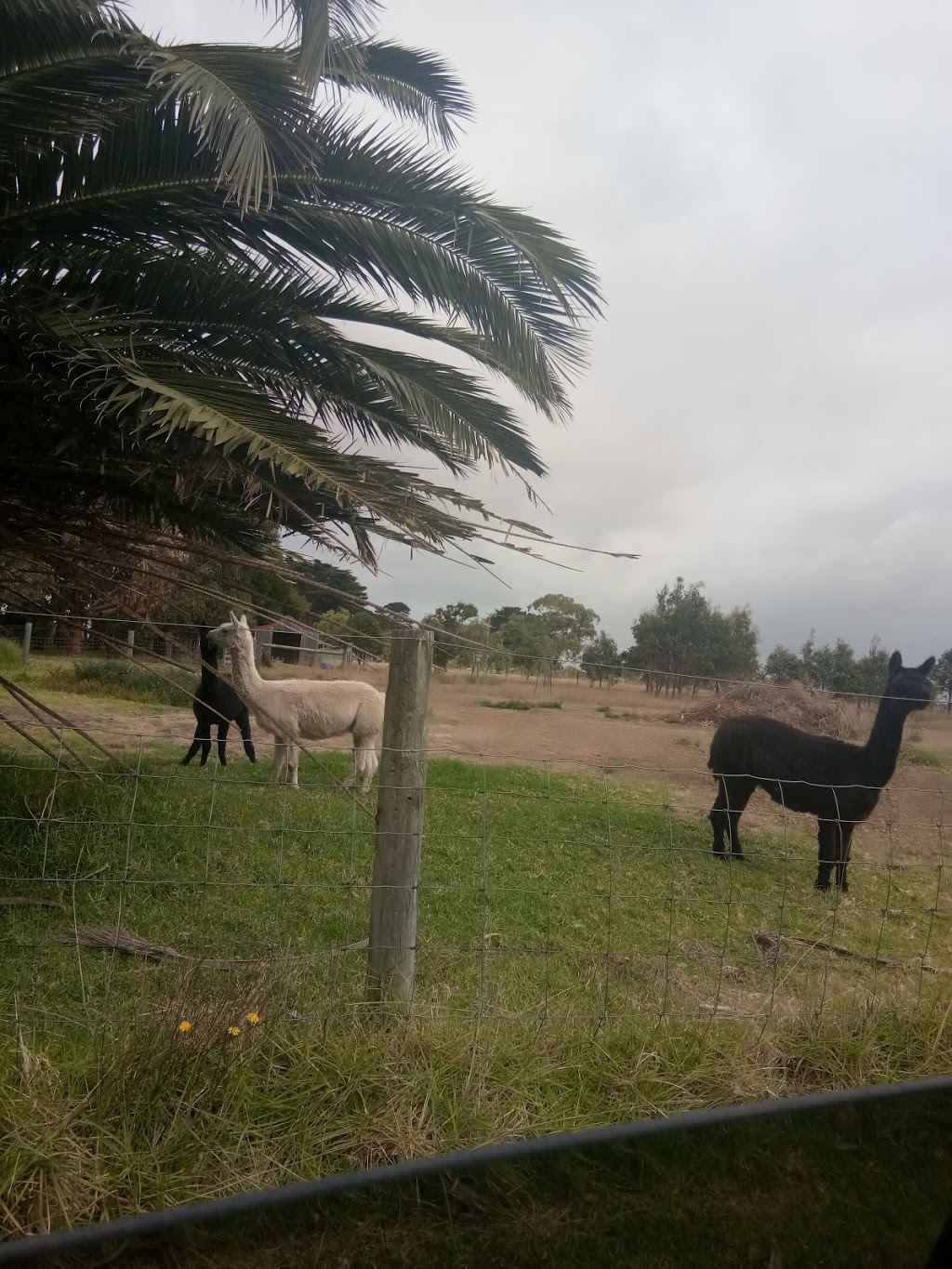 Tarwin Lower Jetty | LOT 3 Inverloch-Venus Bay Rd Tarwin Lower VIC 3956, Tarwin Lower VIC 3956, Australia