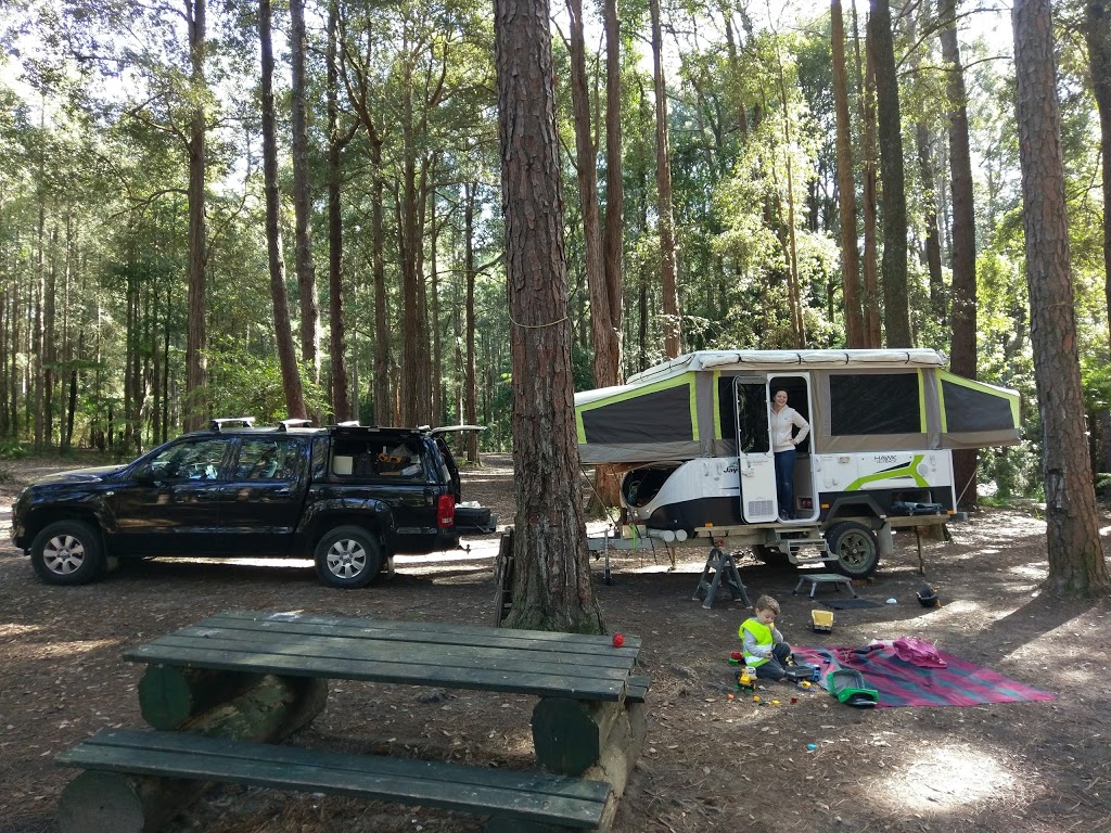 The Pines Camp Ground | campground | Martinsville NSW 2265, Australia