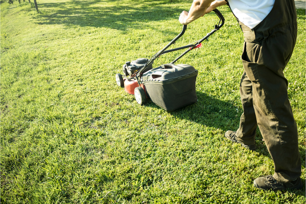 Dechen Garden Care - Springfield Lakes / Spring Mountain | 5 Houghton St, Spring Mountain QLD 4300, Australia | Phone: 0451 438 725