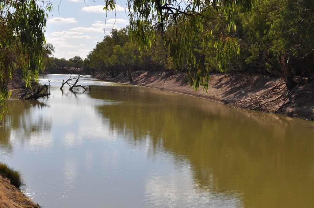 Rose Isle Station | 6588 Louth Rd, Louth NSW 2840, Australia | Phone: (02) 6874 7371