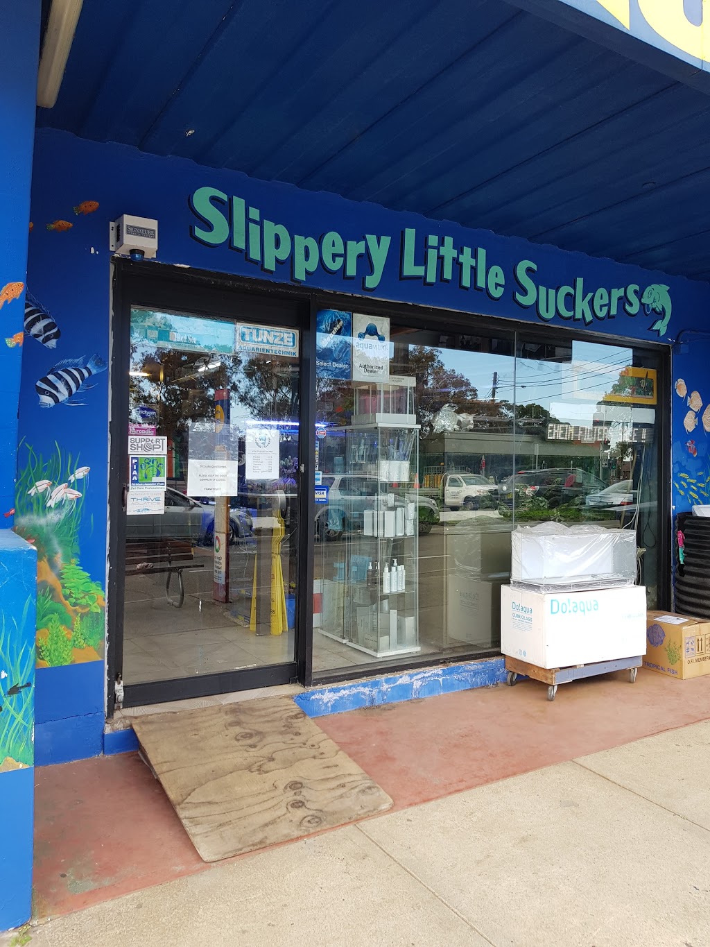 Slippery Little Suckers | aquarium | 632 Anzac Parade, Kingsford NSW 2032, Australia | 0293155288 OR +61 2 9315 5288