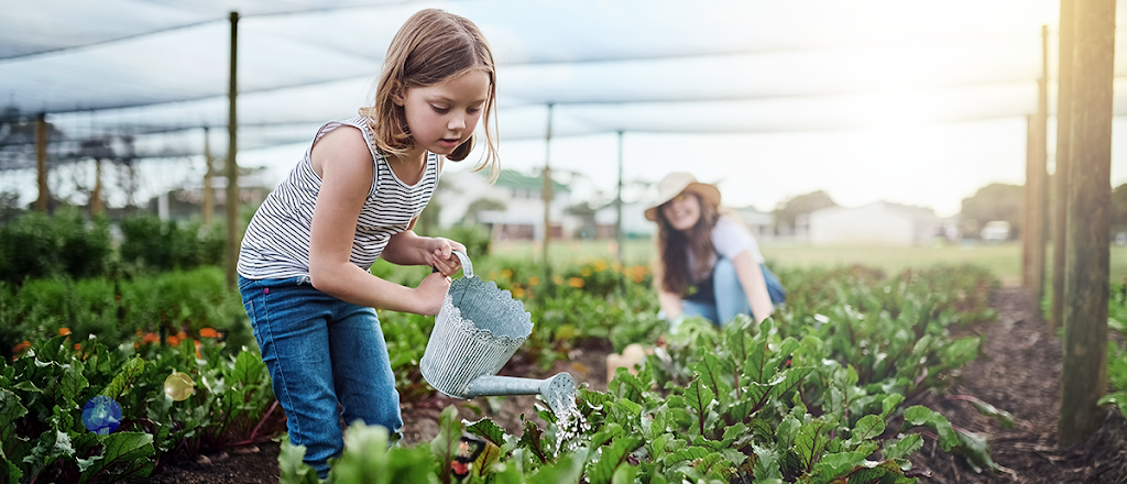 Quality Plants & Seedlings |  | 50 Whites Rd, Werribee South VIC 3030, Australia | 0409952658 OR +61 409 952 658