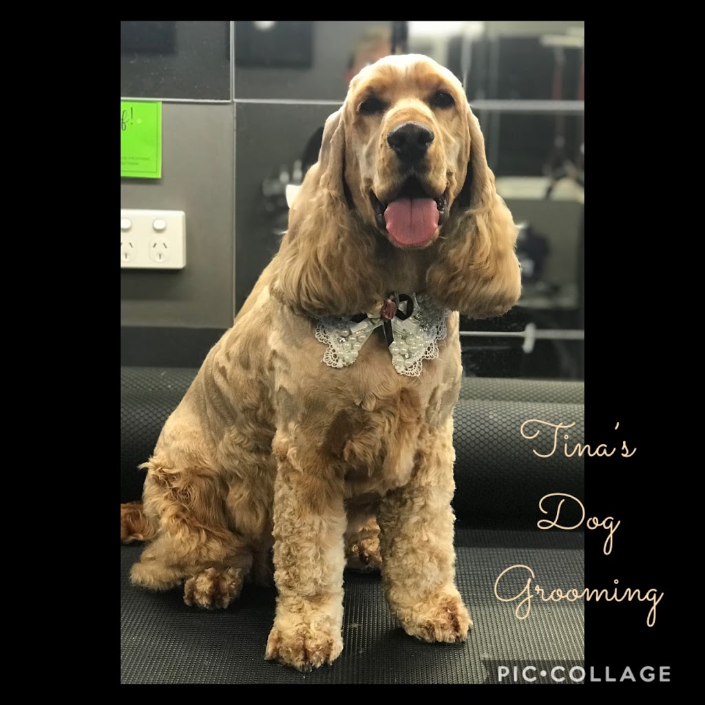 TINA’S DOG GROOMING |  | 81 Roberts Dr, Maudsland QLD 4210, Australia | 0432744956 OR +61 432 744 956