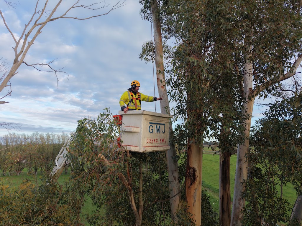 Carrick Trees & Contracting | 570 Stewart’s Rd, Tatura VIC 3616, Australia | Phone: 0457 283 085