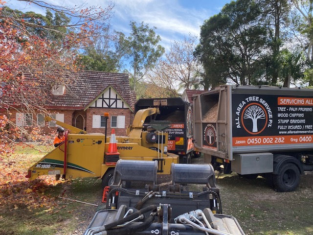 All Area Tree Service Pty Ltd | 21 Fountain Rd, Fountaindale NSW 2258, Australia | Phone: 0450 002 282