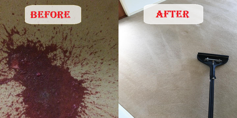 Oran Park Carpet Cleaning | 9 Lee St, Cobbitty NSW 2570, Australia | Phone: 1300 249 082