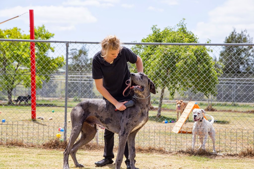 The Pet Ranch | 154 Woncor Avenue, South Nowra NSW 2540, Australia | Phone: 0412 429 625