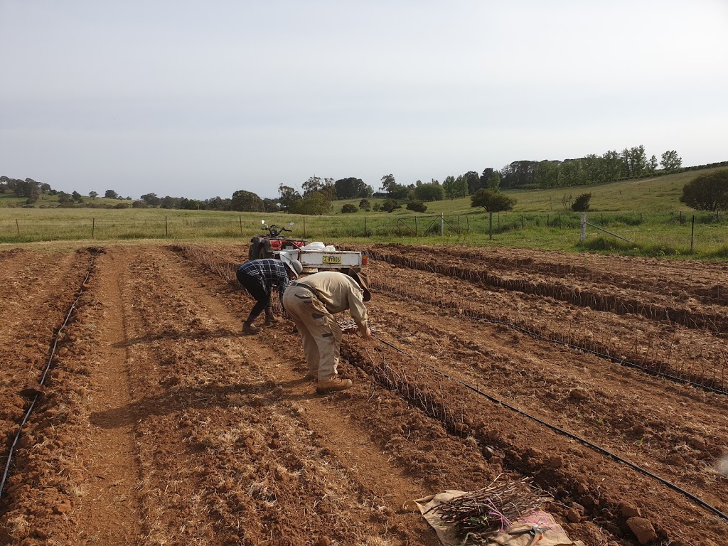 Cantrill Organics | 96 Akhurst Rd, Nashdale NSW 2800, Australia | Phone: 0401 888 745