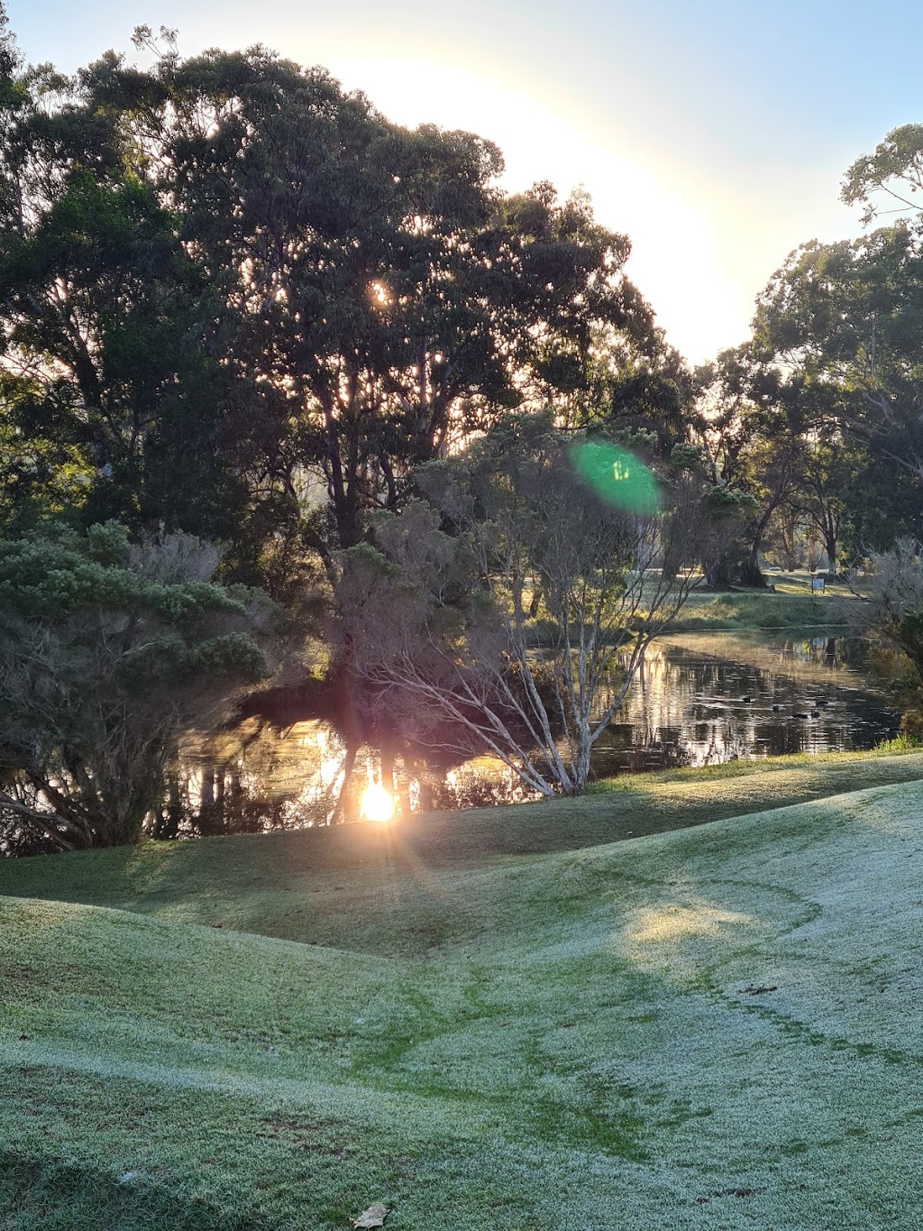 Noosa Hills Par 3 Golf Course | 25 Goldburg Ct, Noosaville QLD 4567, Australia | Phone: (07) 5449 1666