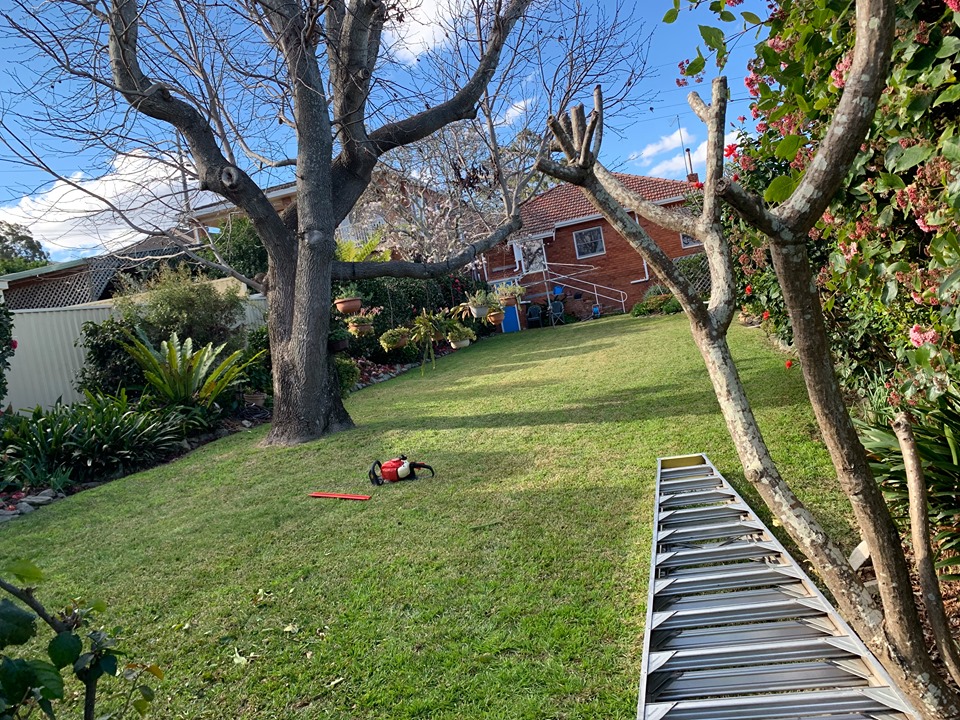 Movs Mowing & Maintenance | general contractor | 51 Waterside Parade, Peakhurst Heights NSW 2210, Australia | 0437570308 OR +61 437 570 308