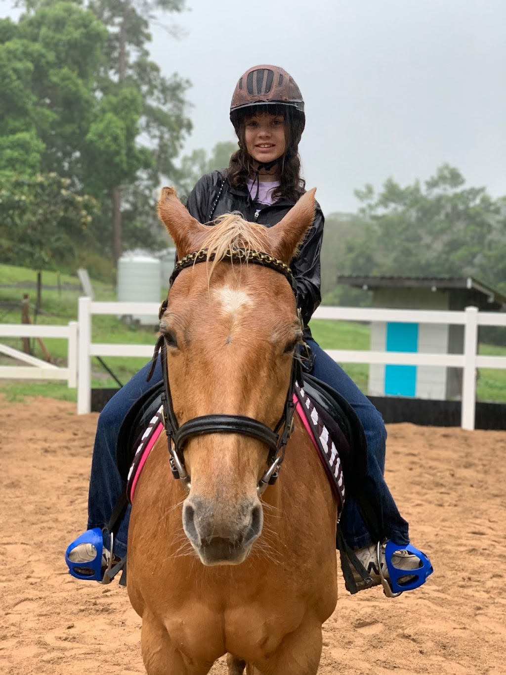 Equine Connect | 8 Andersen Rd, Mooloolah Valley QLD 4553, Australia | Phone: 0478 661 826