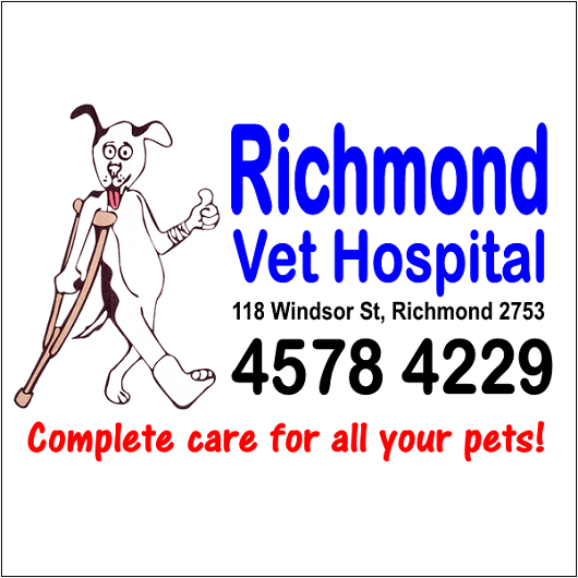 Richmond Veterinary Hospital | veterinary care | 118 Windsor St, Richmond NSW 2753, Australia | 0245784229 OR +61 2 4578 4229