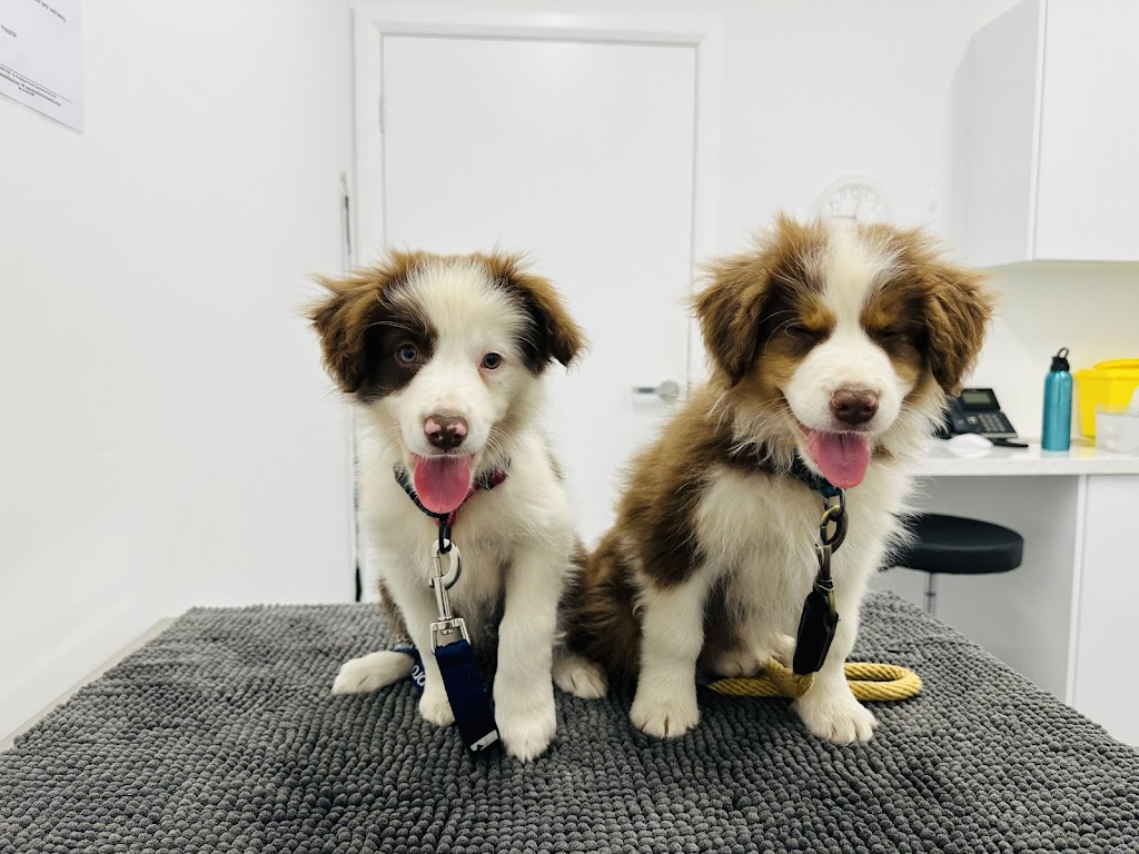 Mona Cottage | 14-18 Mona Rd, Woongarrah NSW 2259, Australia | Phone: 0436 360 834