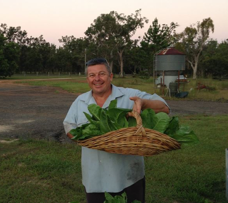 Mooney Family Farms T/A Jacks Eggs | 11 Parker Rd, Wells Crossing NSW 2460, Australia | Phone: 0414 968 788