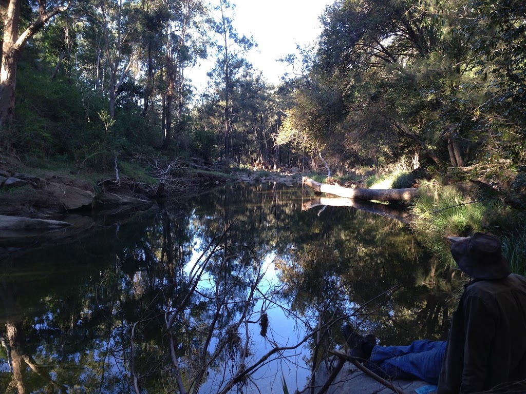 Yellowpinch Carpark | Mount Barney, Mountbarney Lodge, 1093 Upper Logan Rd, Mount Barney QLD 4287, Australia