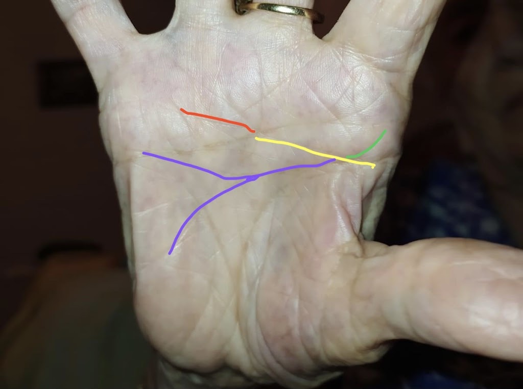 Destiny Palmistry | 37/39 West Sentinel Dr, Greenbank QLD 4124, Australia | Phone: 0476 720 412