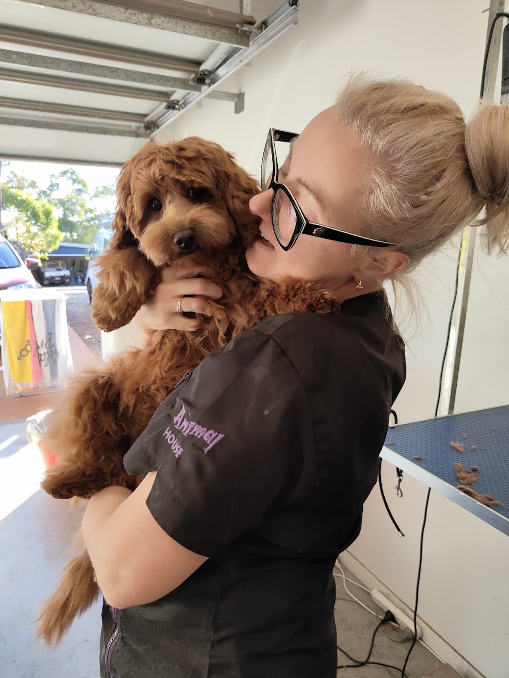 Farrahs Doggy Groomed | 12 Georgiana Cross, Cowaramup WA 6284, Australia | Phone: 0438 903 230