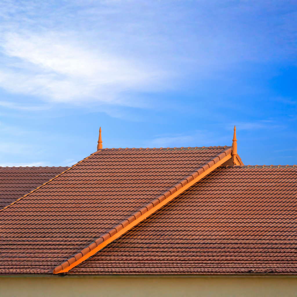 Above All Roof Painting and Repairs | 1 Richards Ct, Bellmere QLD 4510, Australia | Phone: 0448 880 363