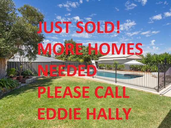 Eddie Hally, SLP Real Estate Group | real estate agency | Yangebup WA 6164, Australia | 0415335348 OR +61 415 335 348