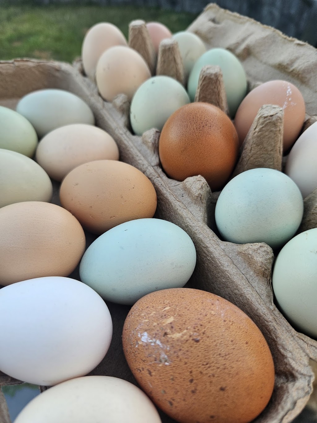 Milfarrago Farm Stay | 521 Bungundarra Rd, Bungundarra QLD 4703, Australia | Phone: 0414 381 243