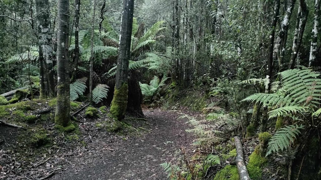 The Harmonic Healers | 16 Dances Rd, Cygnet TAS 7112, Australia | Phone: 0413 587 943