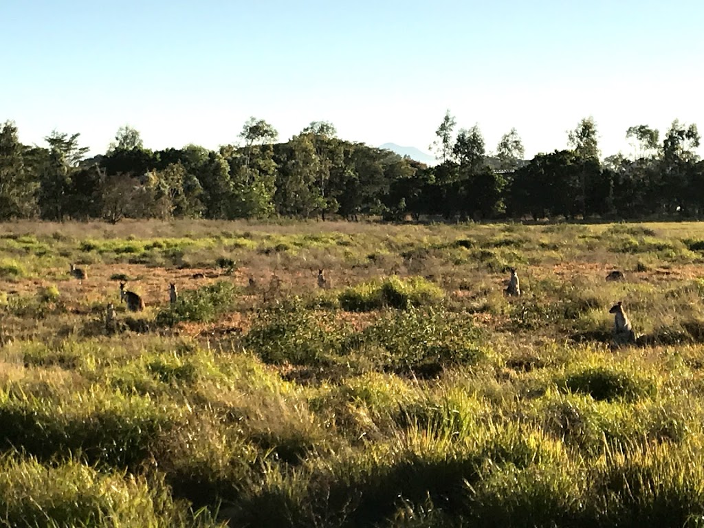 TYTO Wetlands | Ingham QLD 4850, Australia