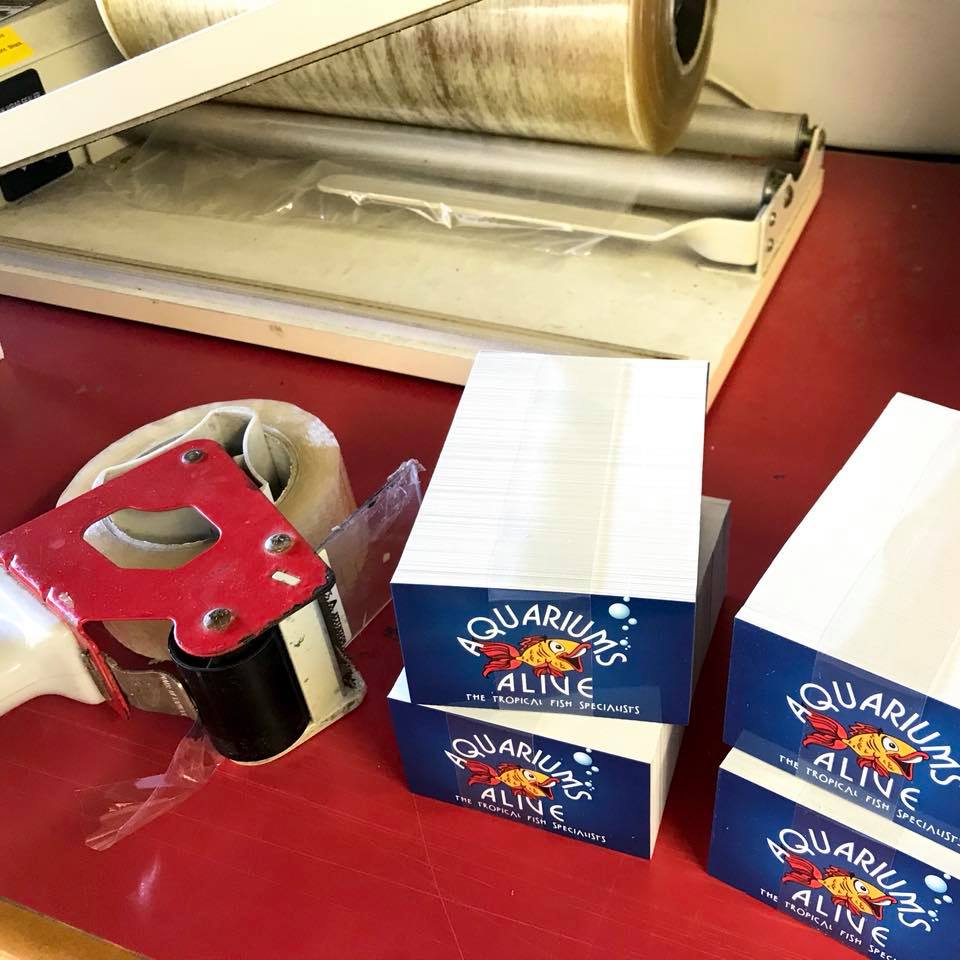 Print Monster - Business Card, Brochure, Banner & Flyer Printing | store | 4 Ilford Cl, Currumbin Waters QLD 4223, Australia | 0414377810 OR +61 414 377 810