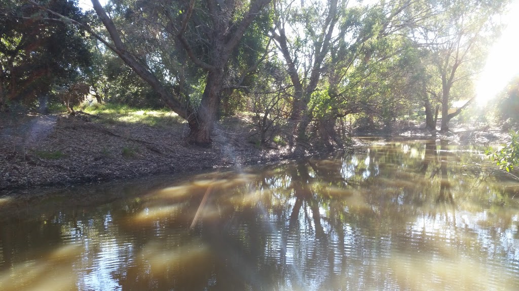 Shearwater Spoonbill Kingfisher Reserve | 37 Shearwater Dr, Stirling WA 6021, Australia